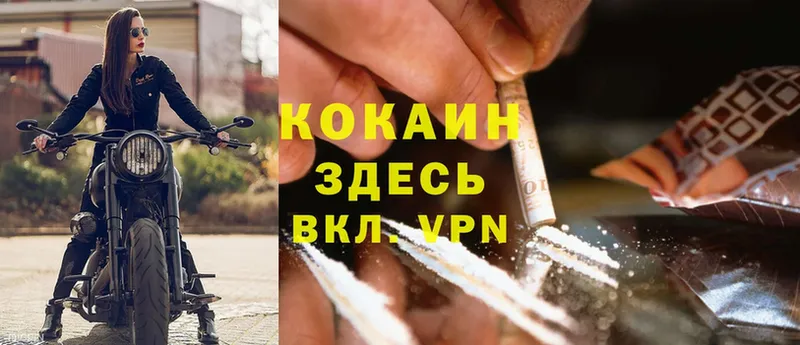 сколько стоит  Верея  Cocaine 97% 